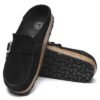Buckley Wildleder Buckley Wildleder