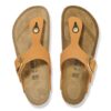 Gizeh Big Buckle Nubukleder Gizeh Big Buckle Nubukleder