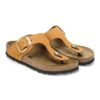 Gizeh Big Buckle Nubukleder Gizeh Big Buckle Nubukleder