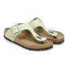 Gizeh Big Buckle Nubukleder Gizeh Big Buckle Nubukleder