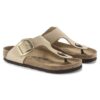 Gizeh Big Buckle Nubukleder Gizeh Big Buckle Nubukleder